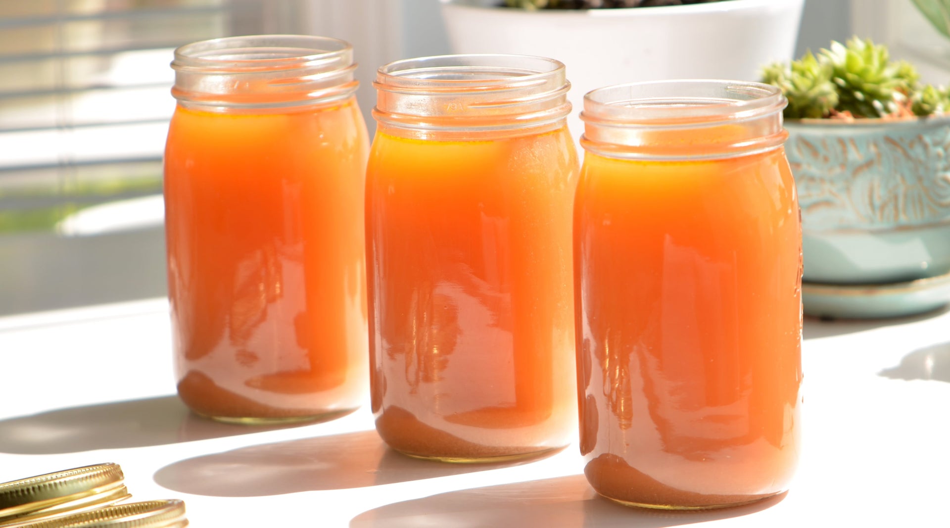 Bone broth for dogs