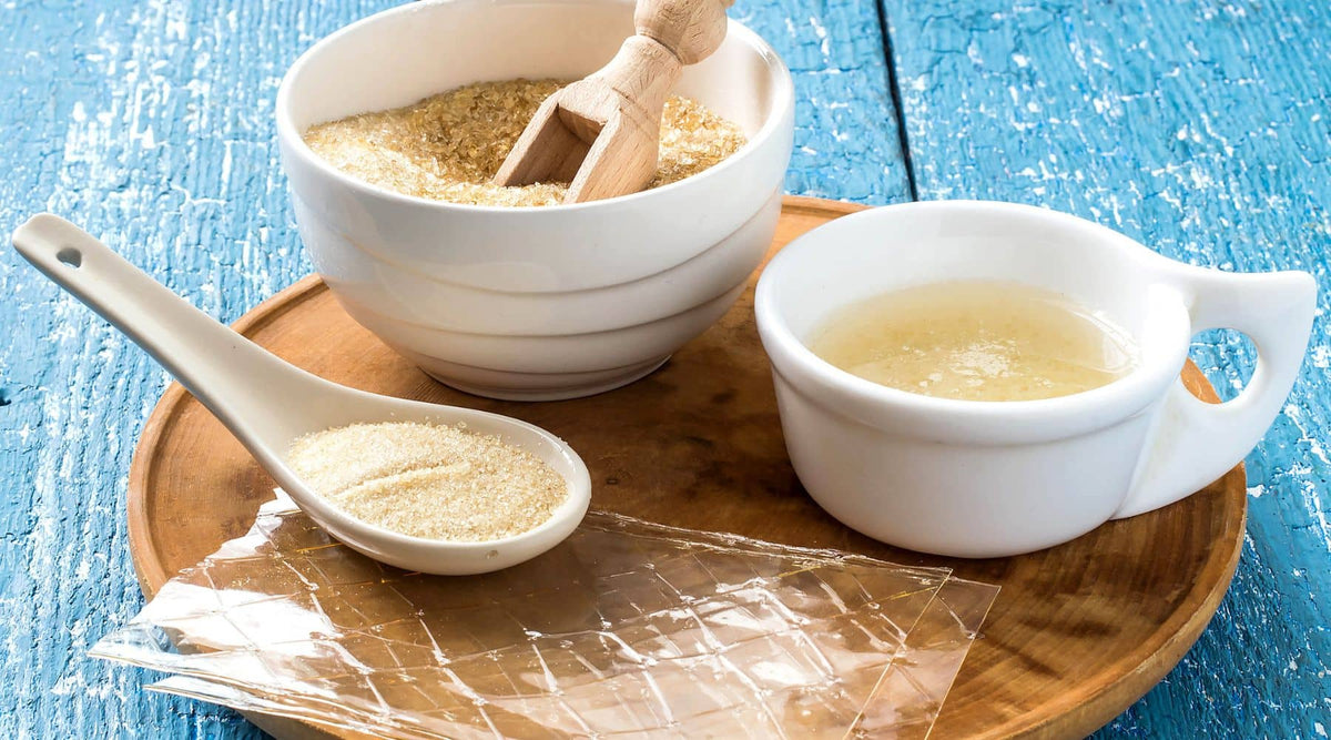 A guide to gelatine for homemade gummy dog treats Kero and Bree