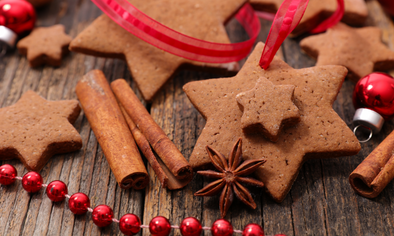 Christmas Treat for Dogs