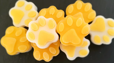 Frozen dog treats - Mango and coconut flavour and paw-shaped