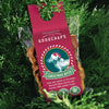 Christmas dog treats tree pack hanging on a Christmas tree - Xmas gifts for dogs