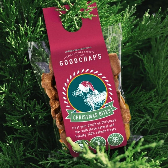 Christmas dog treats tree pack hanging on a Christmas tree - Xmas gifts for dogs