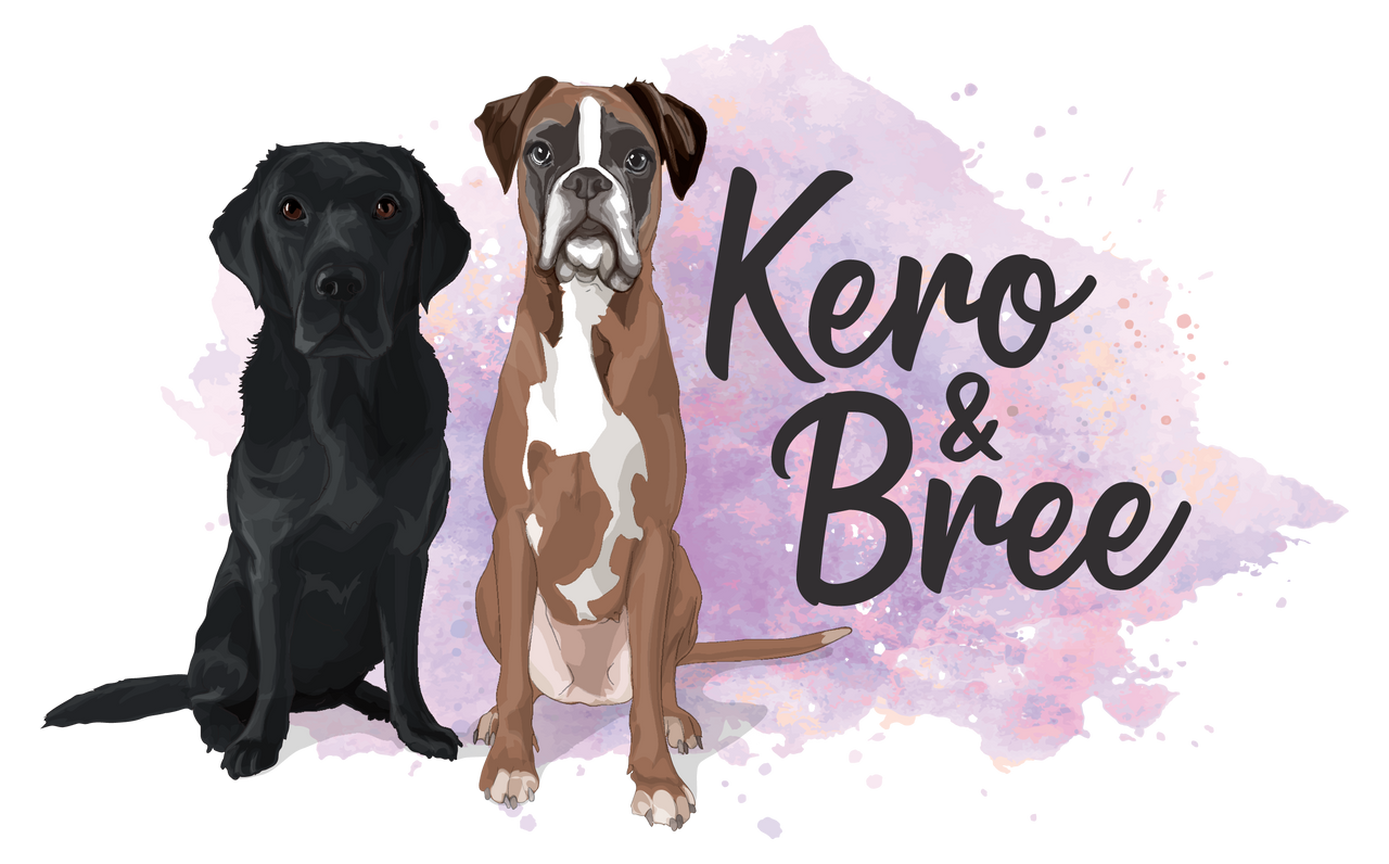 Natural Dog Products and Dog Boutique: Kero and Bree (Labrador Retriever / Boxer Dog) - dundee pet shops / pet shops in dundee