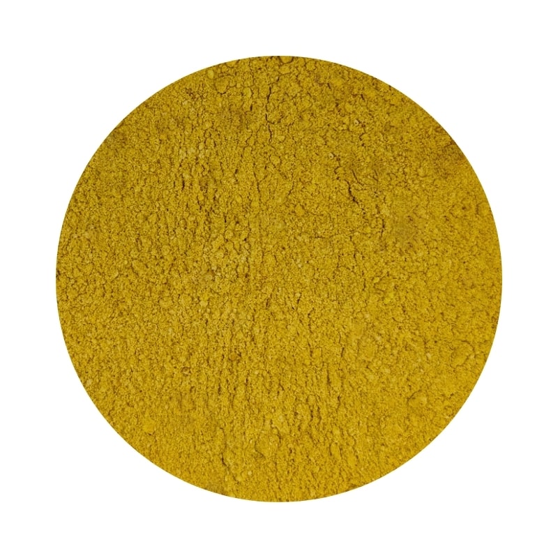Plant Dog golden latte powder drink for dogs and dog food topper