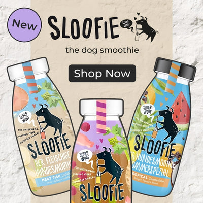 Sloofie dog drinks