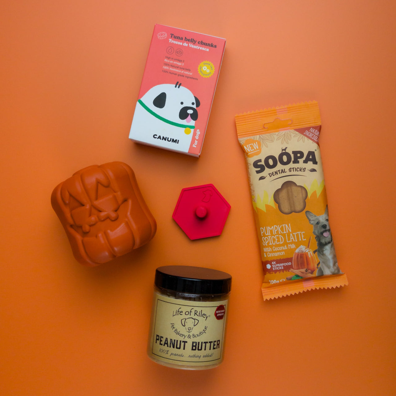 🎃 Halloween Treat Dispenser Bundle - Limited Edition